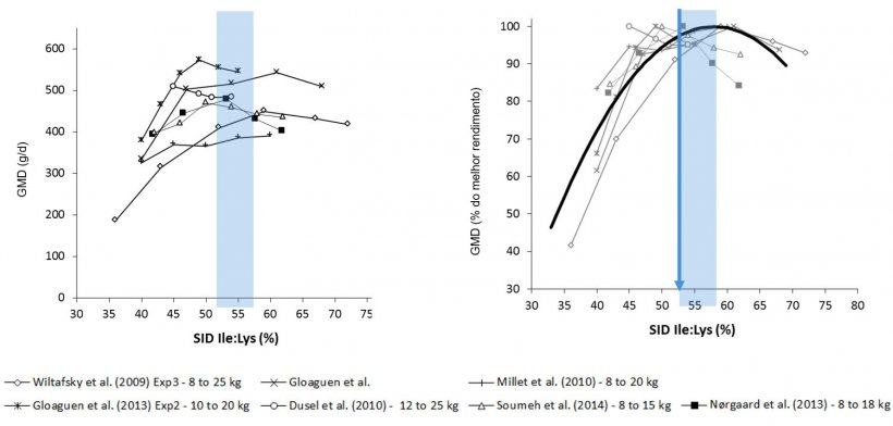 Figura 1: Resultados&nbsp; do crescimento em leit&otilde;es obtidos em diferentes estudos segundo diferentes r&aacute;cio Ile:Lys DIS . O crescimento expressa-se em valor absoluto ou em percentagem do melhor crescimento. Fonte: Ajinomoto Animal Nutrition Europe
